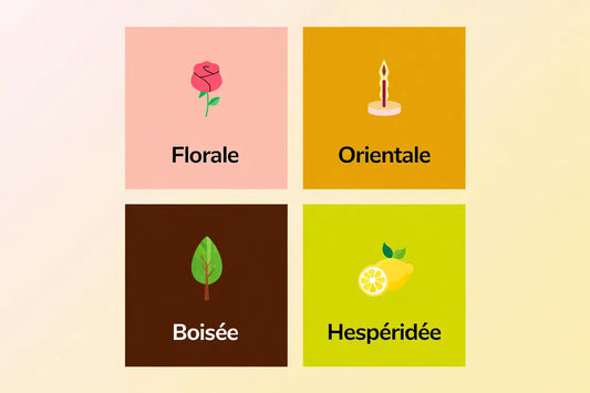 Les 4 types de parfum : familles olfactives et concentration