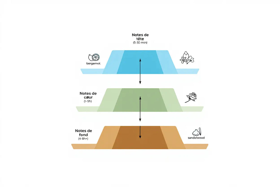 Qu'est-ce qu'une pyramide olfactive en parfumerie ?