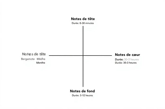 Comment créer un parfum maison : guide complet et naturel