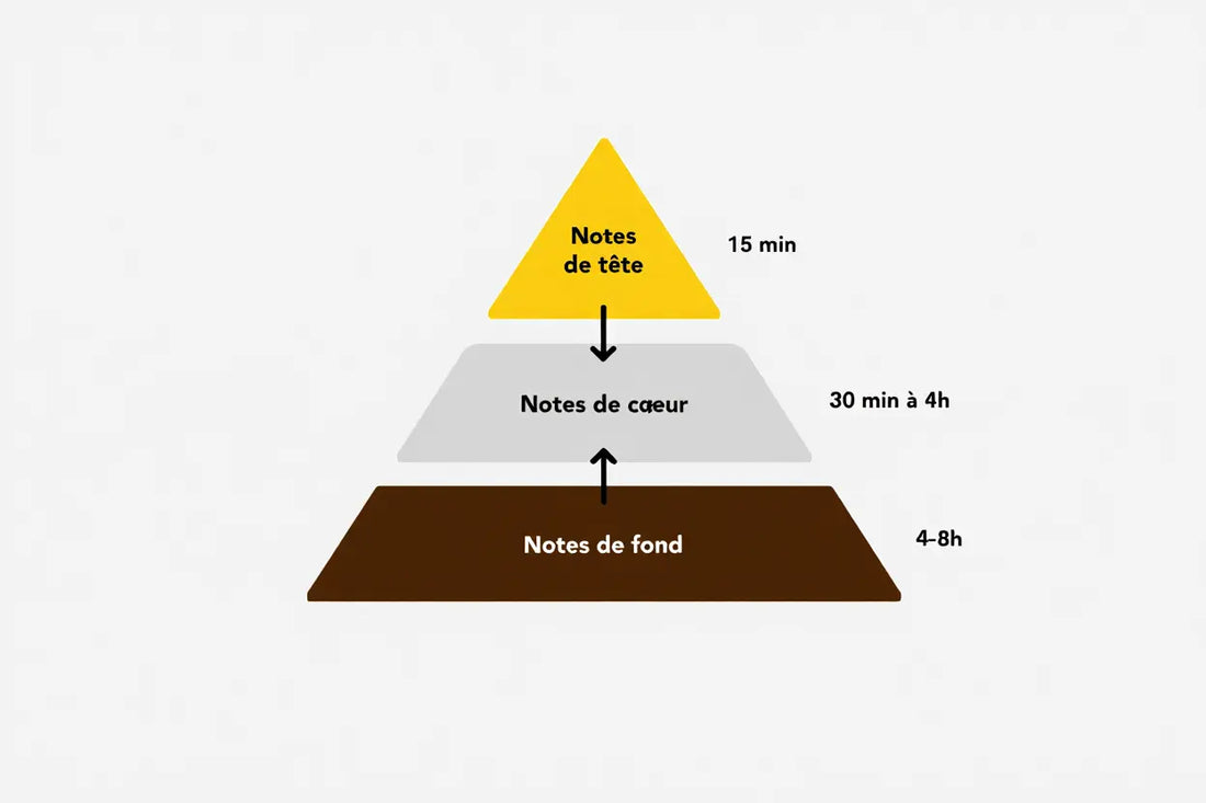 Note de fond parfum liste : guide de la pyramide olfactive
