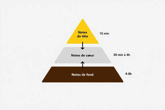 Note de fond parfum liste : guide de la pyramide olfactive