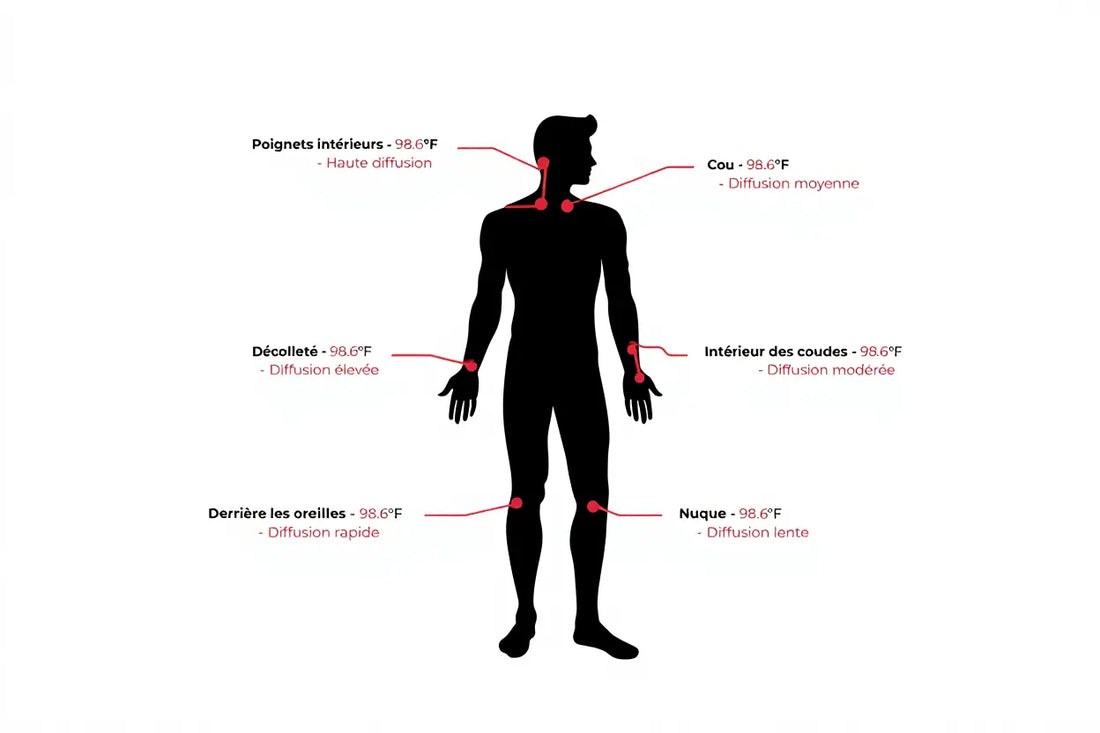 Où mettre du parfum homme : guide des points de pulsation