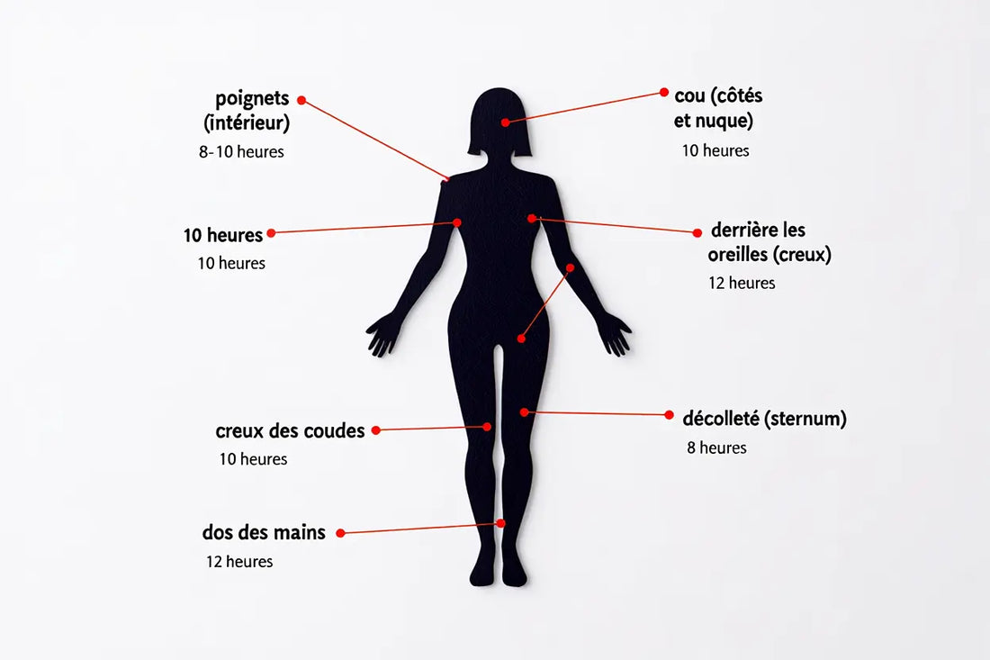 Où mettre du parfum femme : guide des points de pulsation